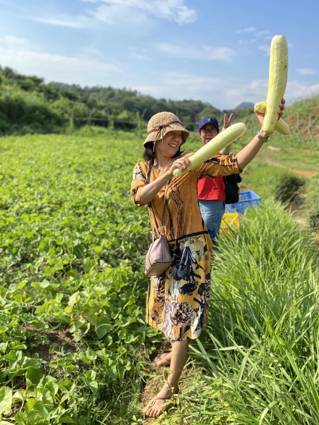 花城控股集團(tuán)