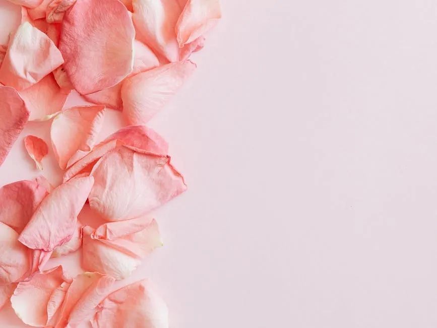 不好意思，本次培訓(xùn)班只限乘風(fēng)破浪的姐姐參與