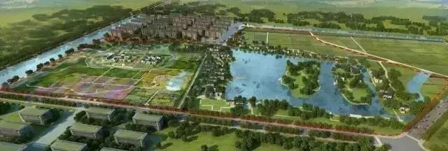 花城控股集團 花城控股集團