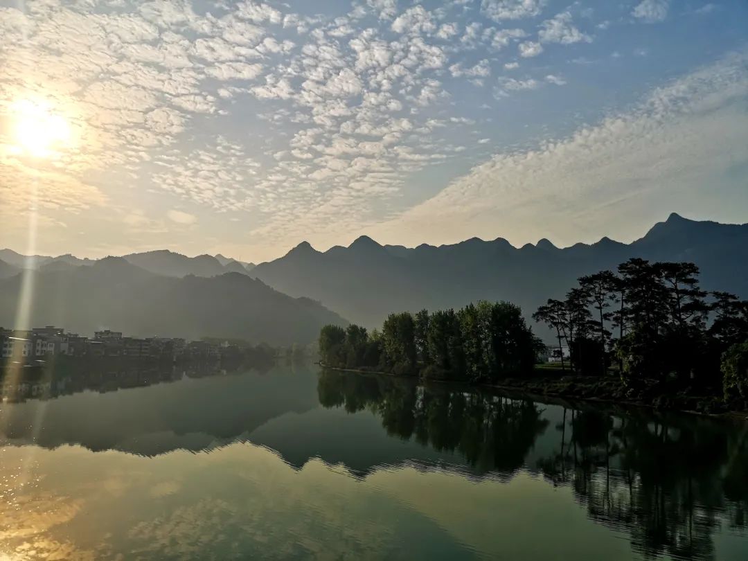 花城控股集團 花城控股集團