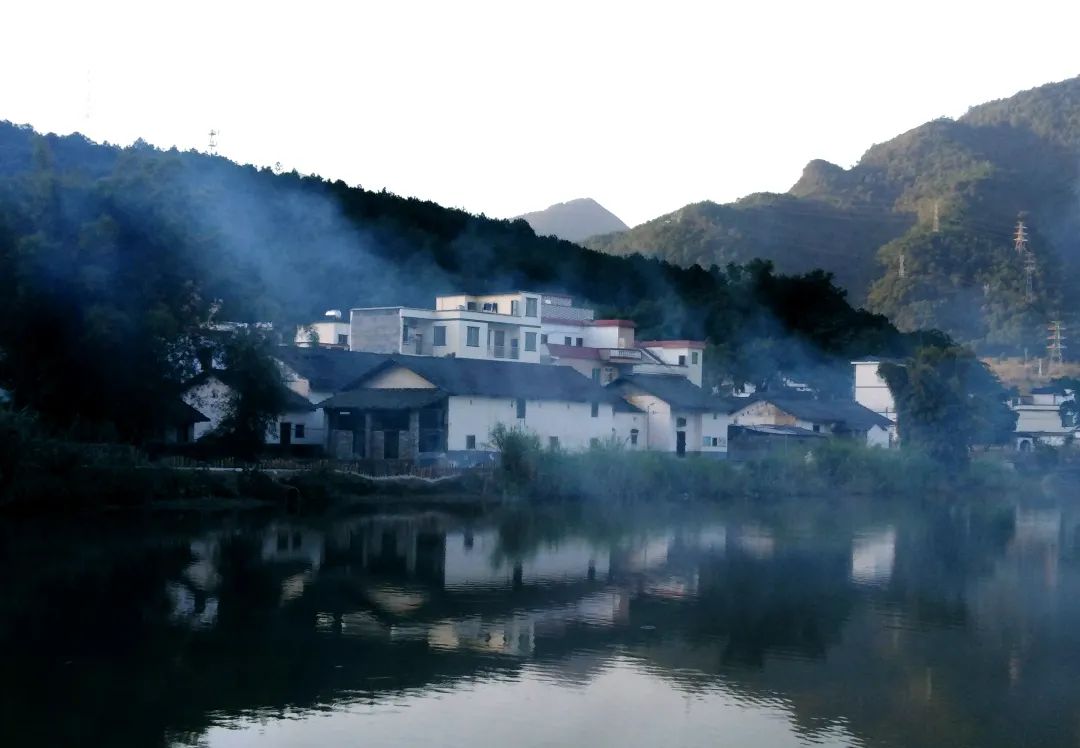 花城控股集團 花城控股集團