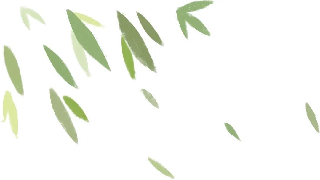 沙寮村民樂(lè)見(jiàn)沙寮“開(kāi)花”